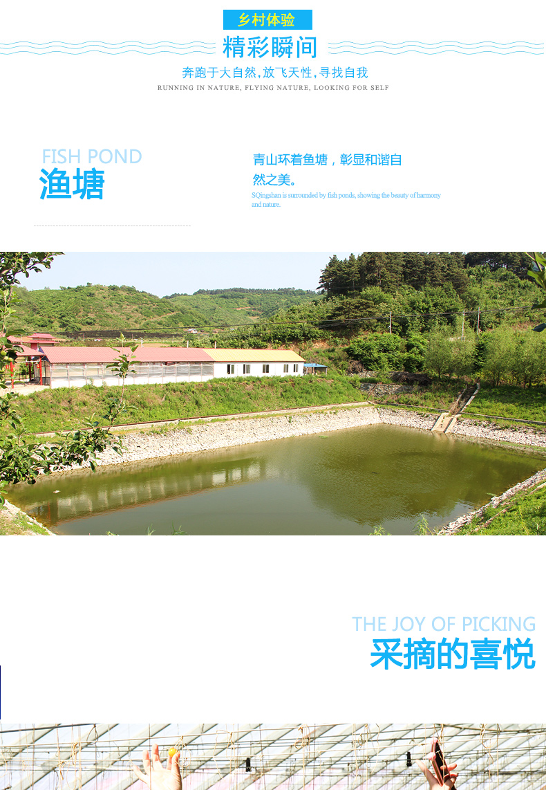 采摘58元-詳情頁(yè)_07.jpg